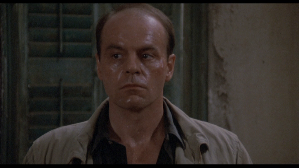 vlcsnap-2025-01-16-14h21m46s249