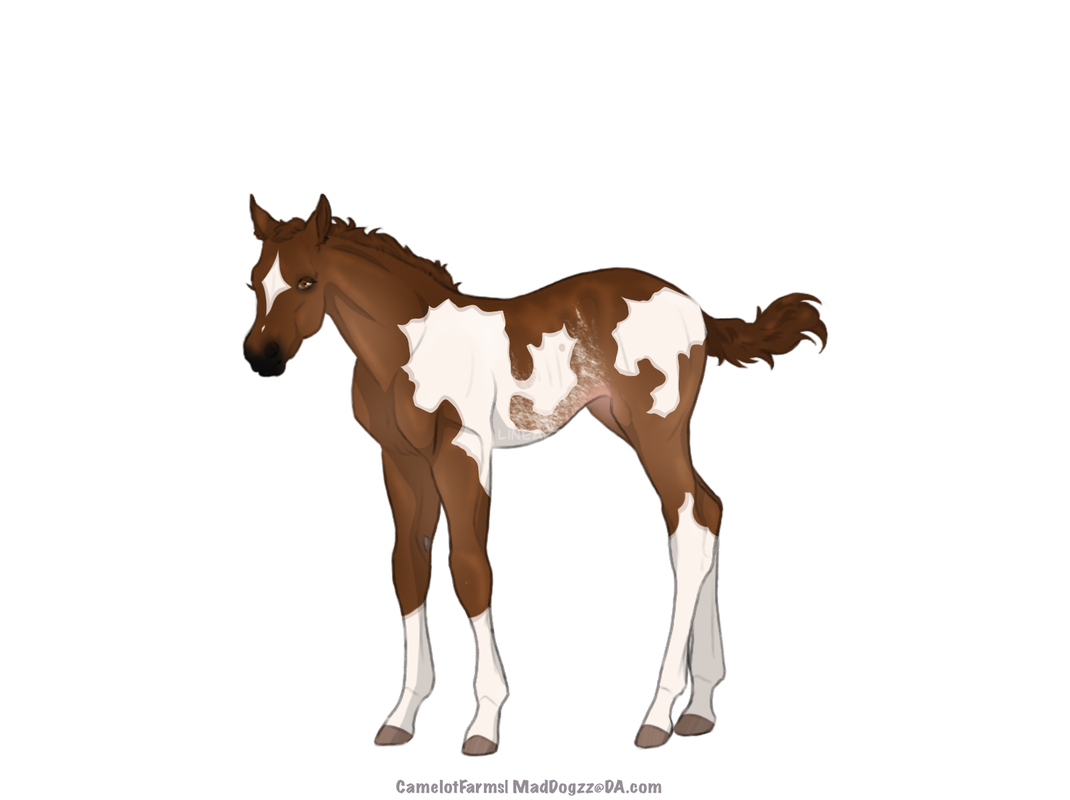 2D0C60AD-9A4A-4ABF-A608-AB134B2813F1