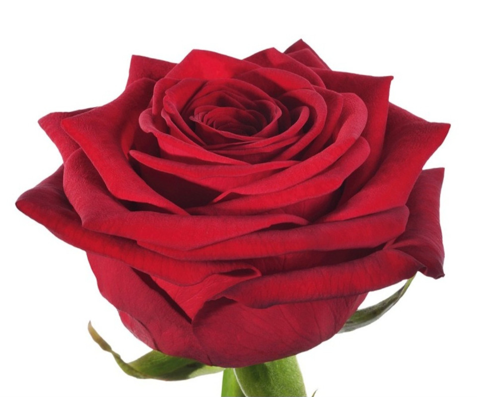 Screenshot_20230521_070641_Google