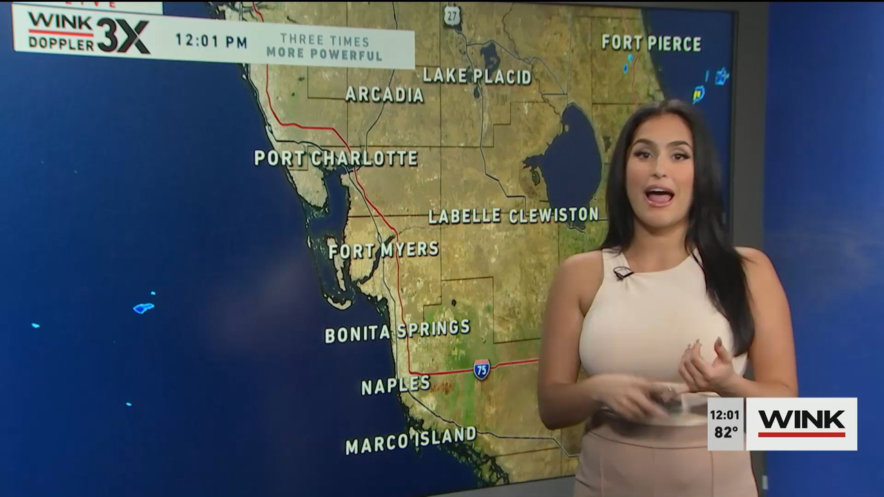 10.14 - 17.00.00 - The WINK Noon News  ᴺᵉʷ. Midday news update..ts_snapshot_07.34.926