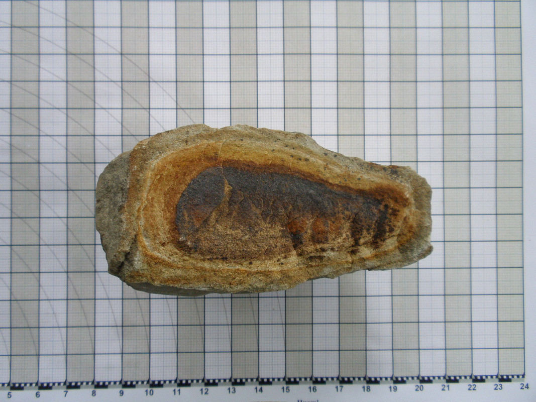 P5150108