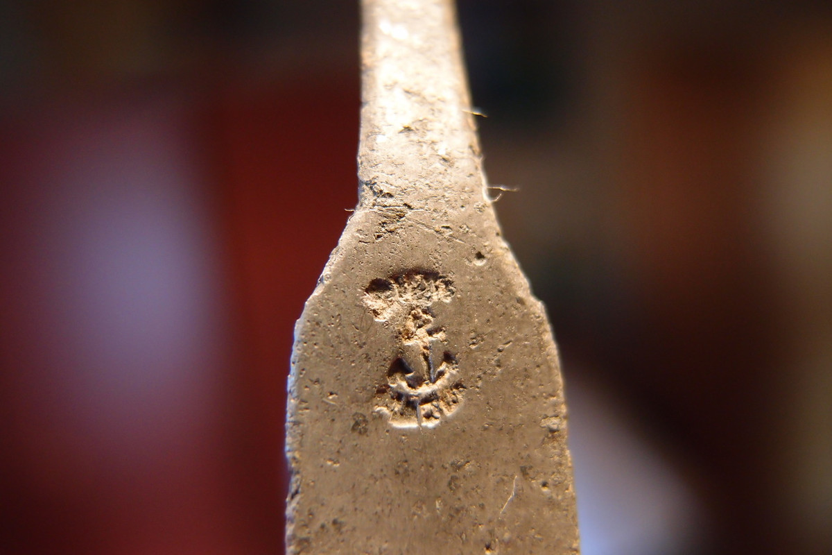 P5030461