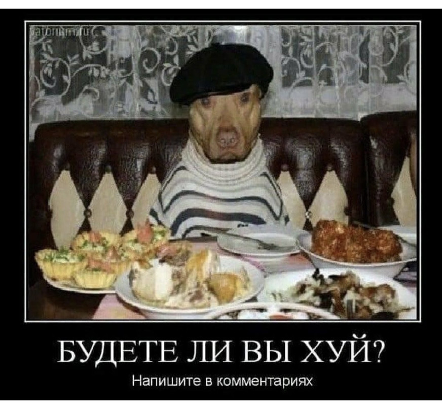 96D3D9BE-7BE6-4923-B435-BA71F66DA0C2