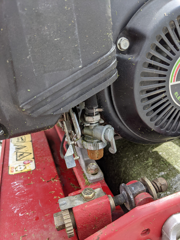 PXL_20210501_171846364