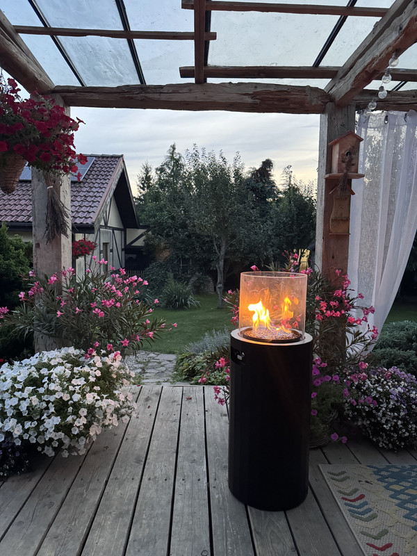 Bino Fireplace Detail 1