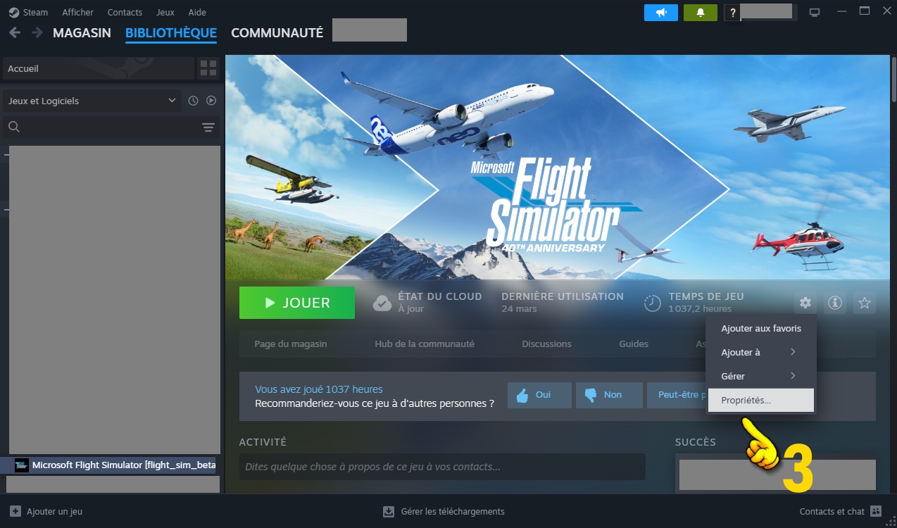 steam-msfs02.jpg