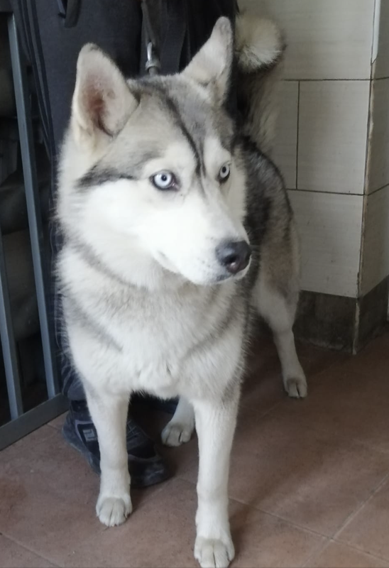 Снимок экрана 2024-05-02 в 17.52.46