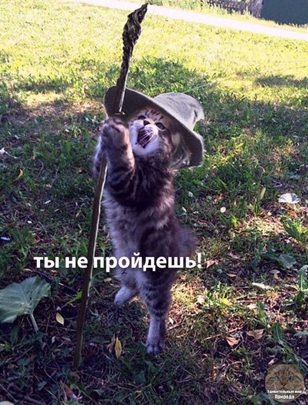 6b6d8a849abc86a2c84d957f2f194d5c