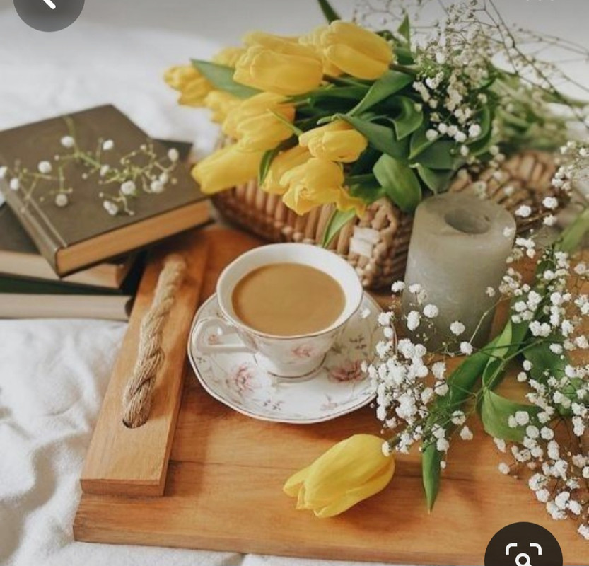 Screenshot_20230909_001138_Pinterest