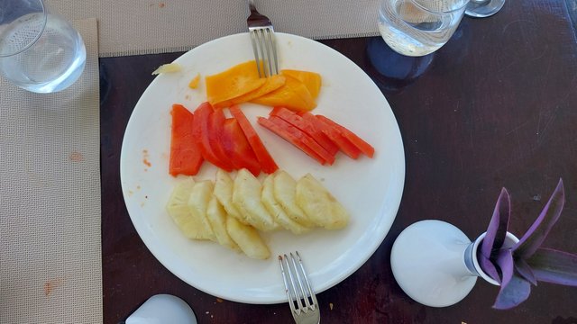 DIA 4 – HOTEL IBEROSTAR CORAL ENSENACHOS - Hotel Iberostar Selection Ensenachos (7)