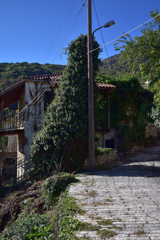 Άνω Δολιανά (9)