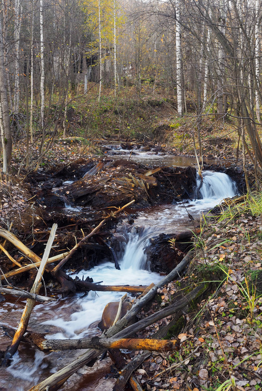PA062001.jpg