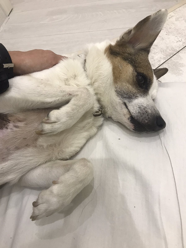 A8AD7202-7C19-4976-8214-211736F01ACD