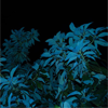 Stock-Icons-New-179