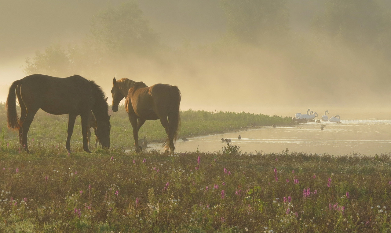 Bij het zoveelste bezoekje vallen de puzzelstukjes op hun plek