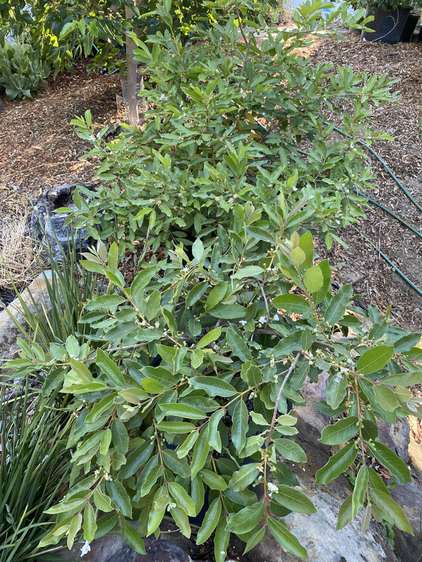 18E2078D-C14D-4C56-B62F-85337364F57C