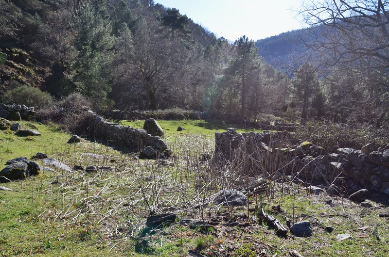 RUTA EMBALSE DEL HORCAJO Y GARGANTAS DEL VALLE DEL TIETAR-20-2-2016-AVILA - Paseando por España-1991/2016 (72)