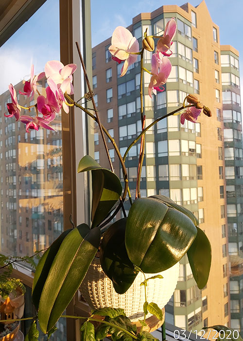 [Image: IMG-20201203-081118.jpg]