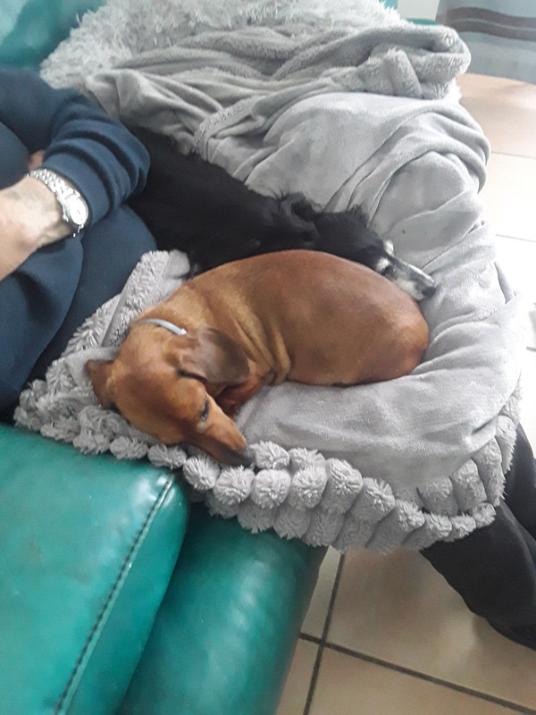 [Image: 20250507-105657.jpg]