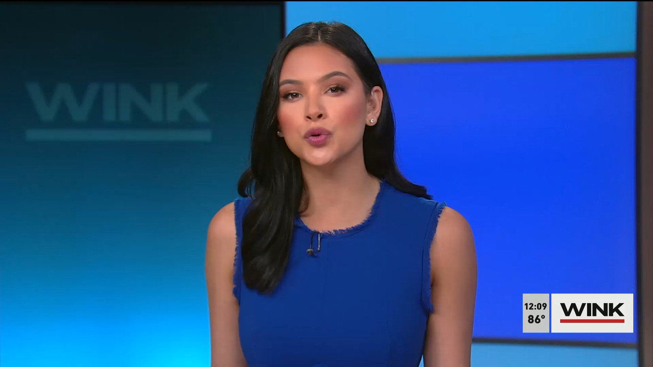 The WINK Noon News 2022_05_17_17_00_00.ts_snapshot_15.48.336