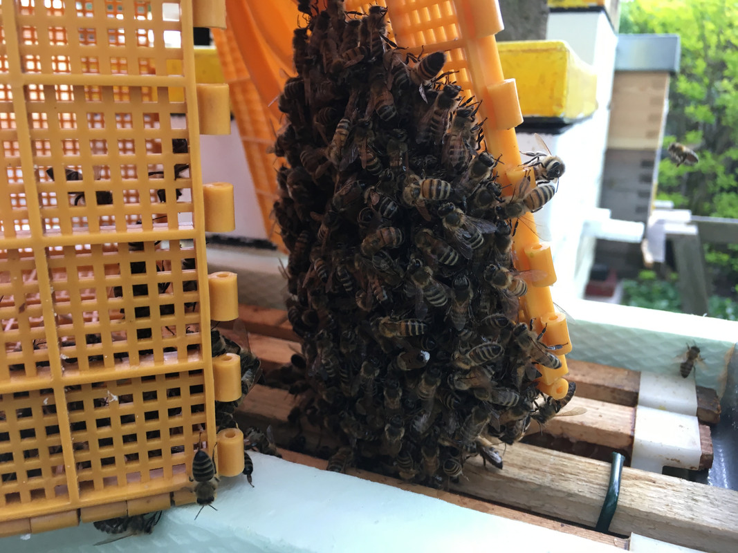 F8BC62DA-B641-4928-8822-250DC70DA754