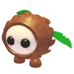 Coconut Friend