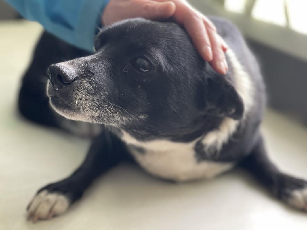 5E1726C3-1476-466C-AA00-FA5CB343B8F1