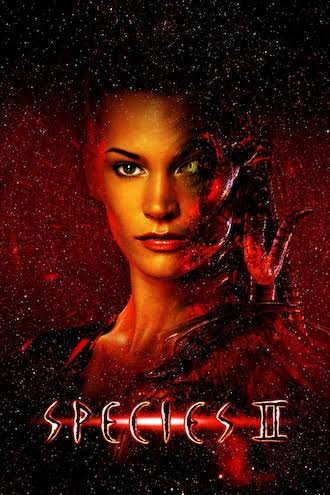 17702939060423125476388583224141