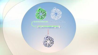 Protein Homology Modeling