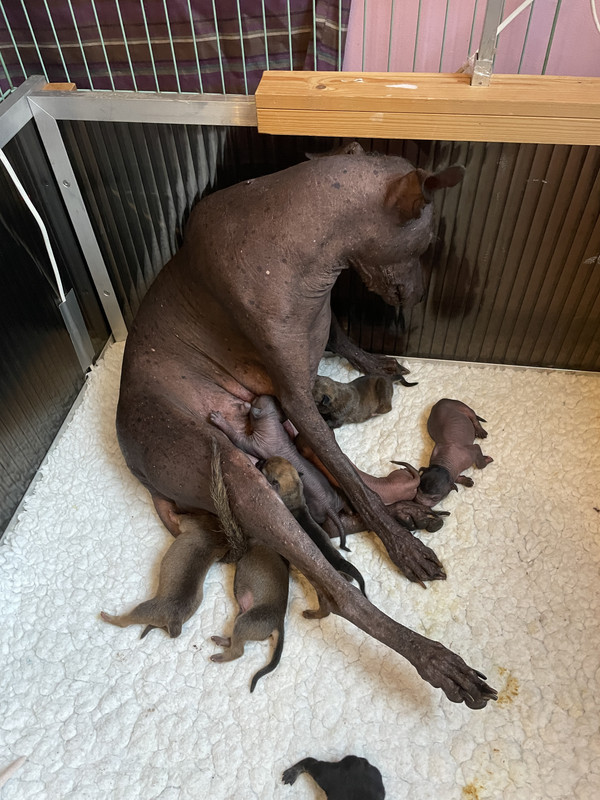 DE9D103E-3220-410E-B36A-7076490B7583