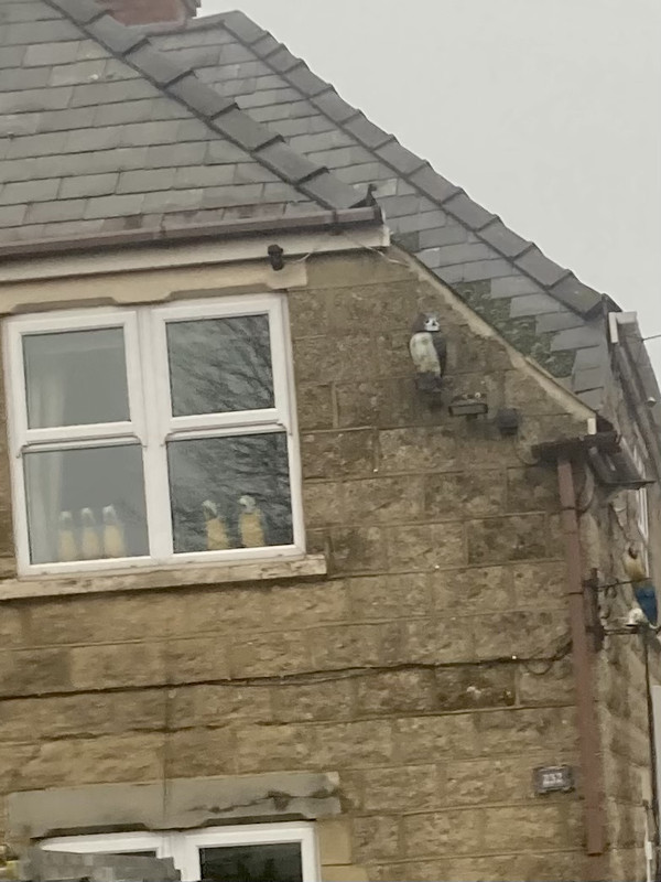 E4E74A48-63DC-48F4-A212-977ABFA52CD7