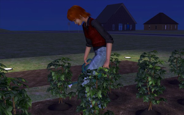 Lakewood_round3_063-600x375