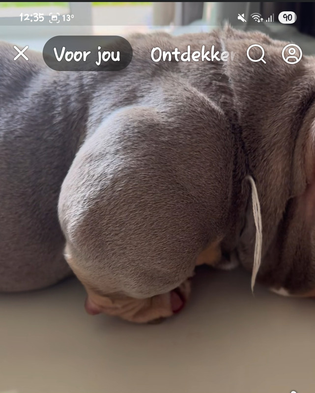 Screenshot 20251029 123553 Facebook