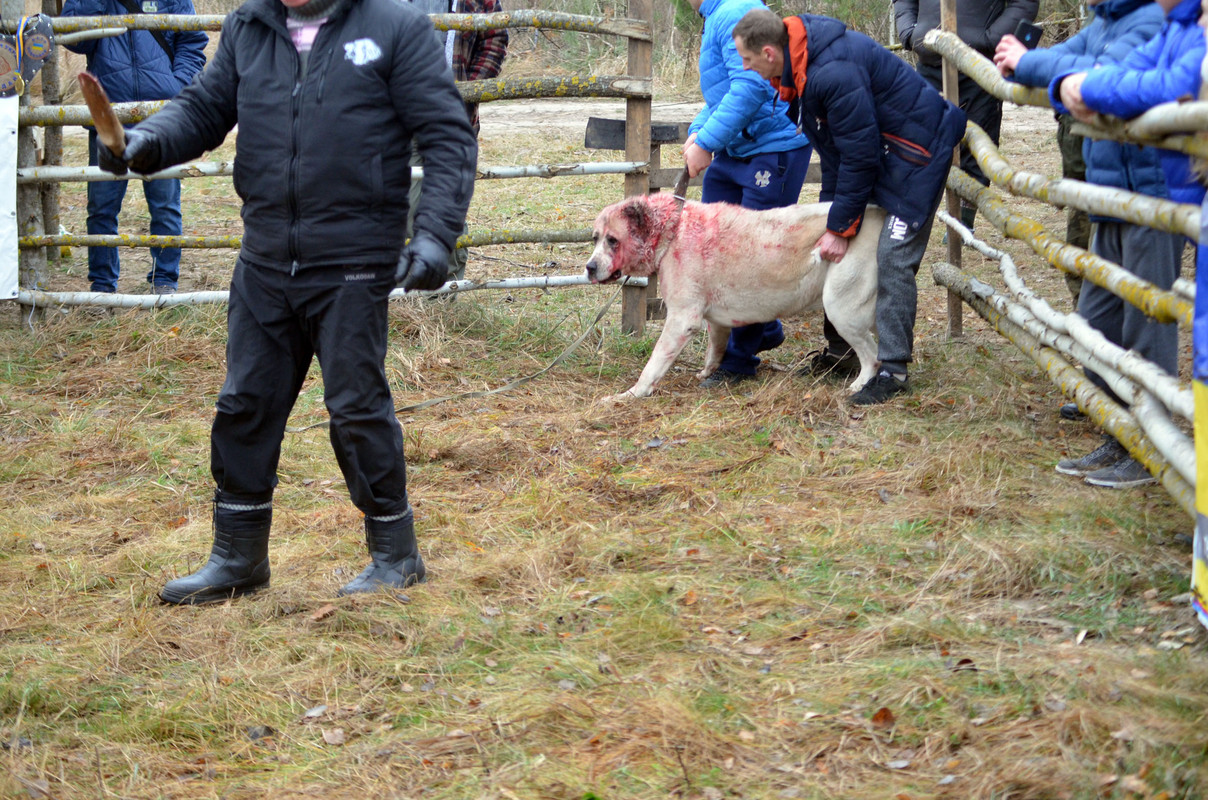 Шаман - Монгол 2 (7)