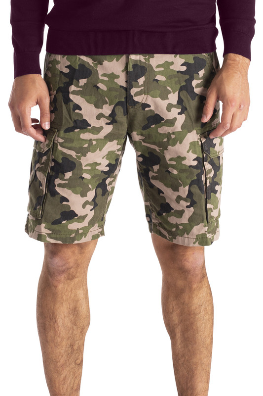 large image 2