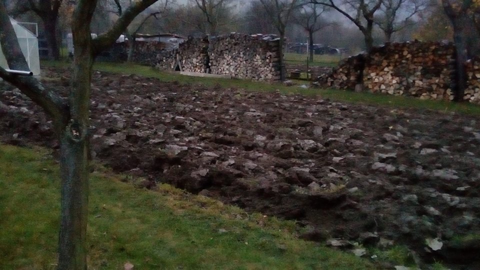 23316705_1713555338663738_3602853880222585488_n