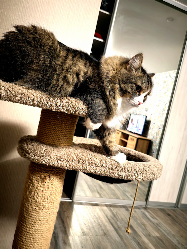 IMG_20250506_213647_edit_549223527211997