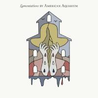 Lamentations by American Aquarium