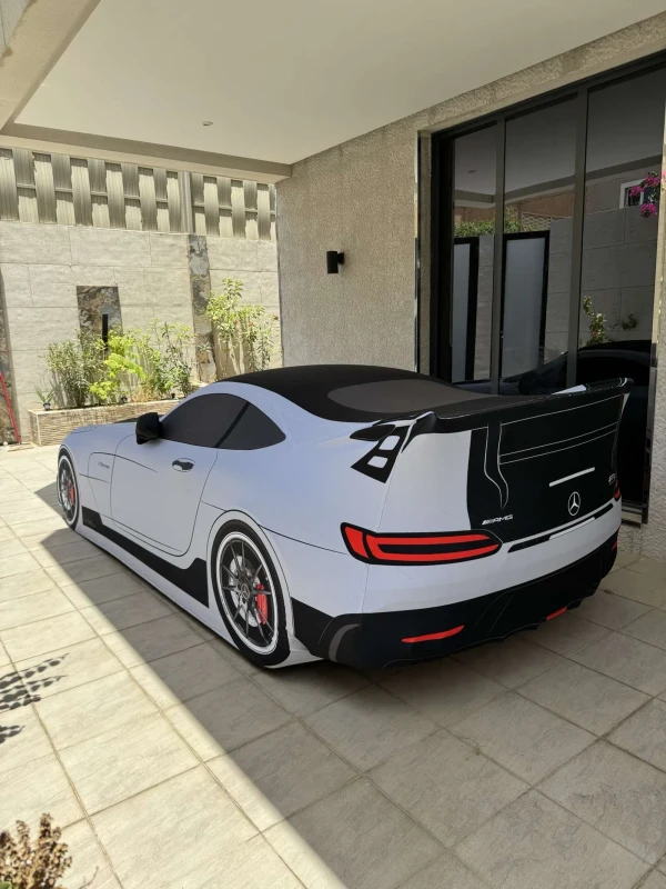 Mercedes Black Series Indoor Artistic Cover