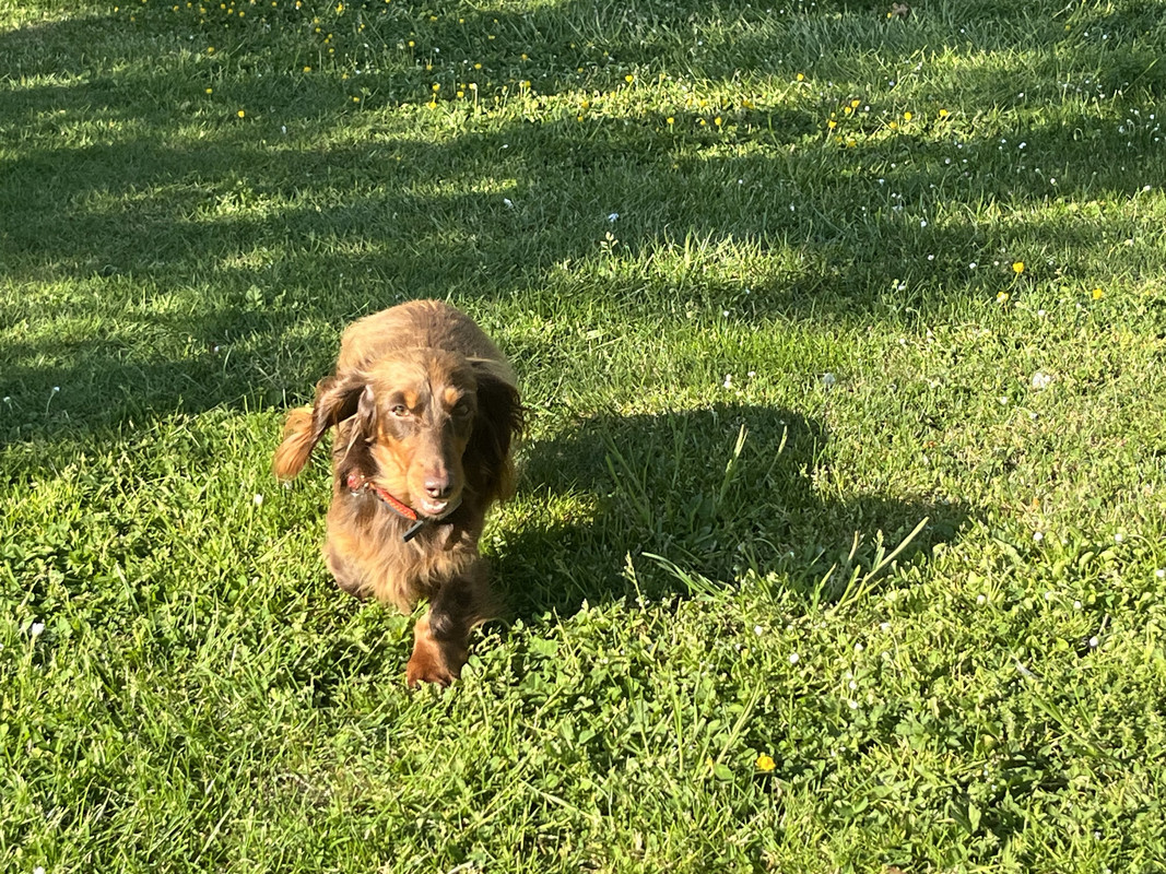 [Image: IMG-6431.jpg]