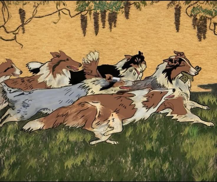 https://i.postimg.cc/pdZnw64W/dogy.jpg