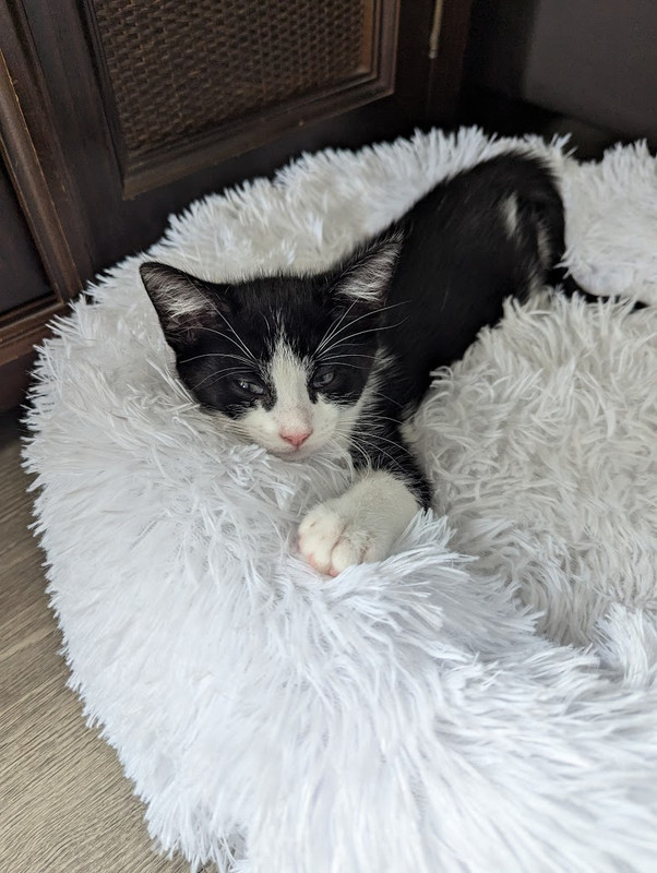 PXL_20240824_162417324 (2)