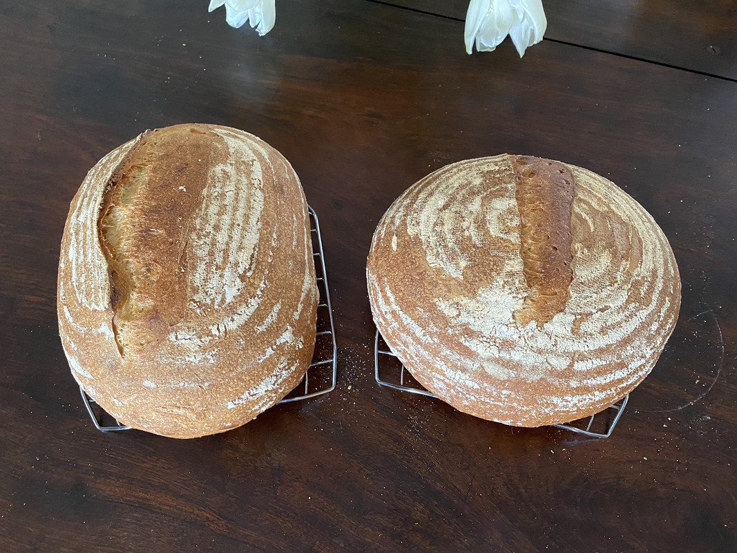 C96C2C1D-284F-4335-A920-6E6C4C8732F7