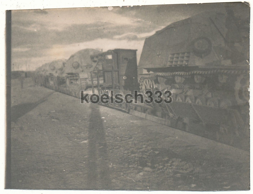 Foto Panzerjäger Selbstfahrlafetten Hornisse