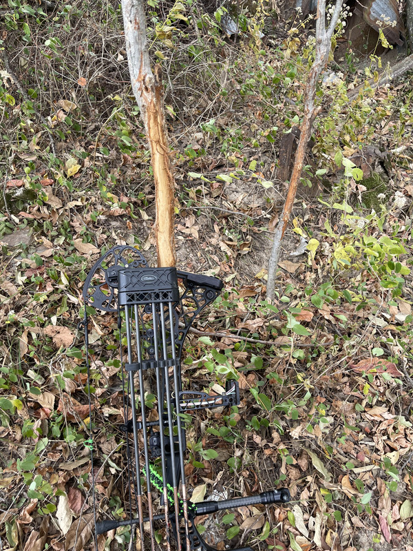 F90085CF-4BC2-4014-949F-DD376C0FF8FB