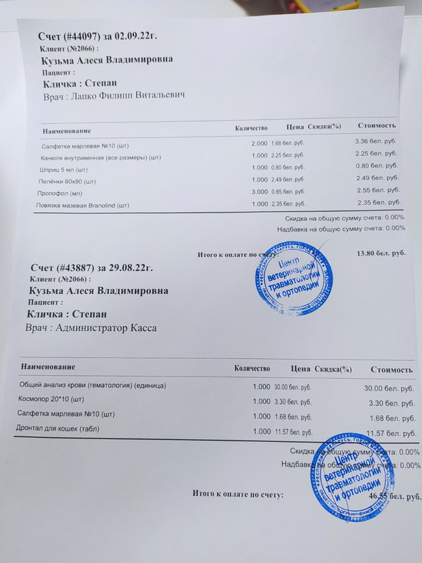 изображение_viber_2022-11-10_16-45-16-057