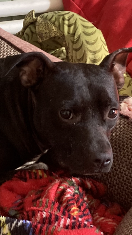 C398734A-0769-4061-9AB3-E3DCA3F4C41C