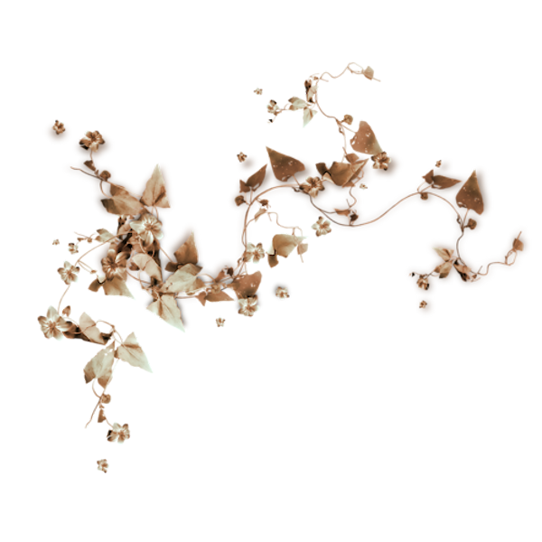 TADD_elements_ShimmerFall (39)