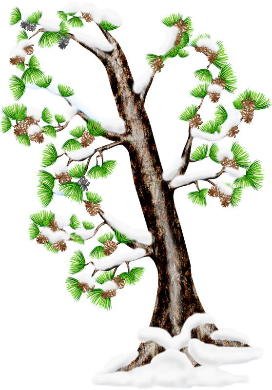 Christmas in Forest33