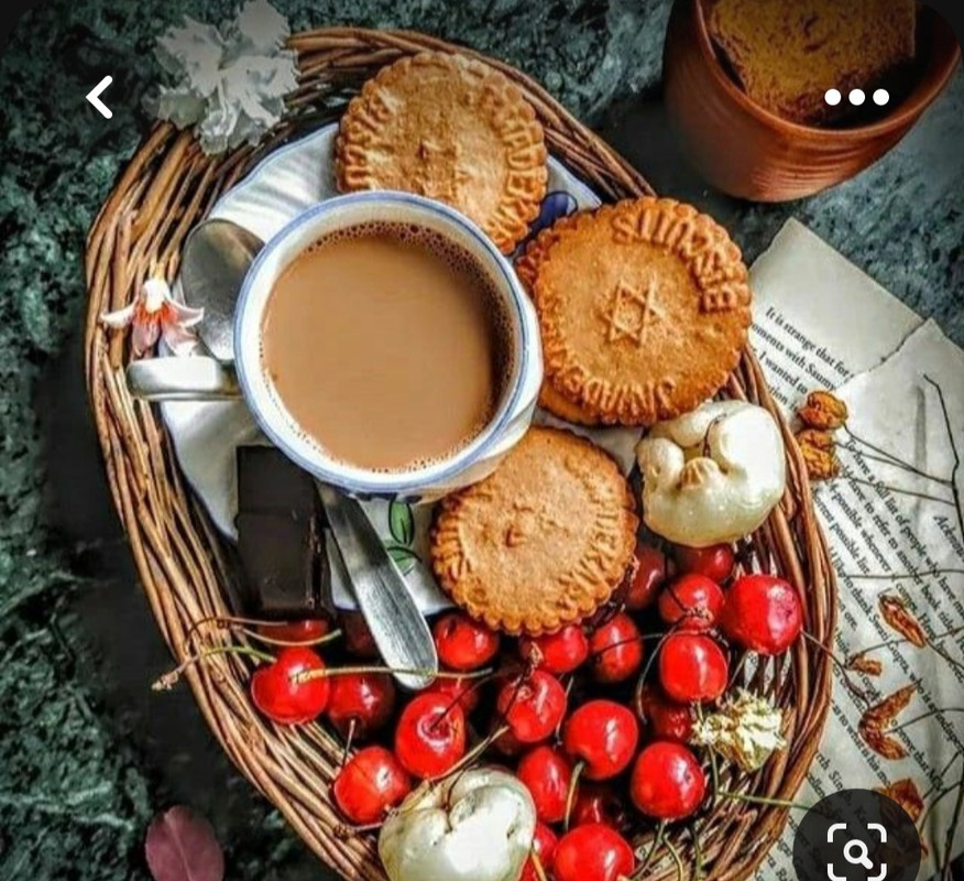 Screenshot_20230528_211239_Pinterest